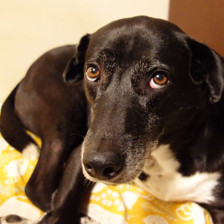 A132c29c 23fc 40fd 93b4 fd935a7d166d 1729163172575