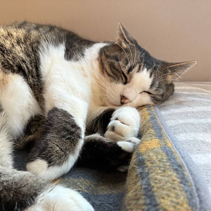 A132d009 ae5b 4104 8536 1960af8b95e6 1767700469674