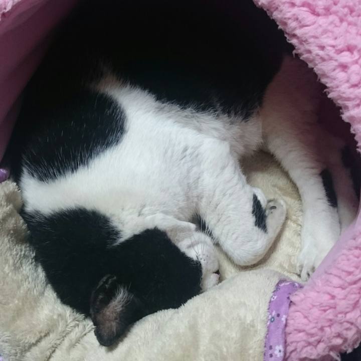 A132e186 6608 4dff 9353 c449ecbcd80a 1511869142323