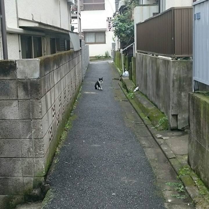 A132f3fa 1e3c 4df5 b37f 00976dc79365 1525751467150