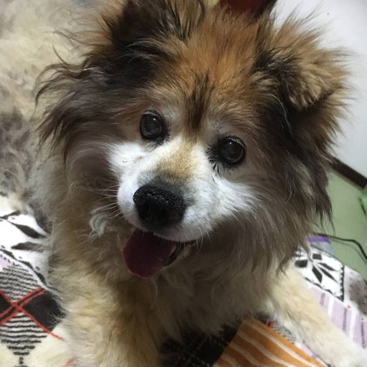 A13304d1 bcaa 4b74 bc02 d2d2c8a4e560 1591685357208