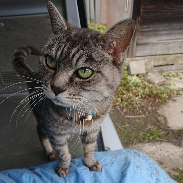 A1333f18 60e0 4f70 ae01 34362bbc9c8a 1573355545790