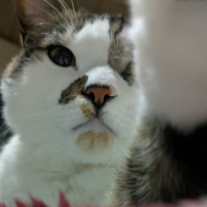 A1338d20 d8bb 4e7e 8a0a 96424e4116d0 1739090734337