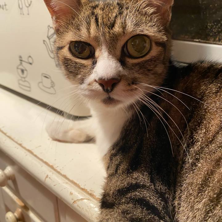 A133ecee fe36 4fb2 8109 769140b1b1b6 1629681521146