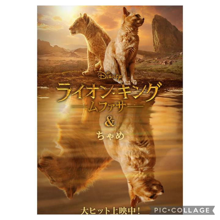 A133f23c 346f 4b4f 8bb2 0120bf2fc502 1736571655330