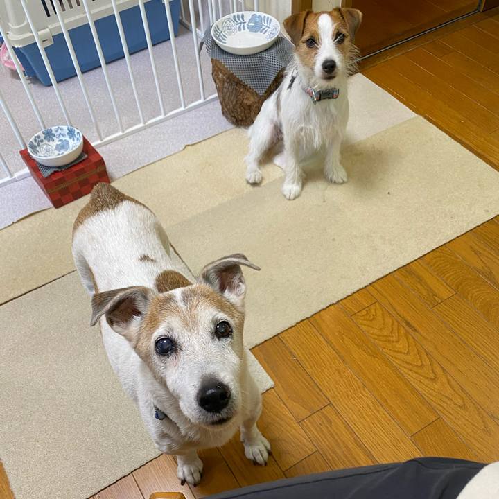 A1343234 cd42 415e b04e 3399e76edee1 1661121463471