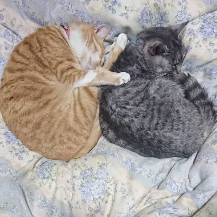 A13436dc 5ee6 48ee b9ec 95f9887e3f43 1607164768566