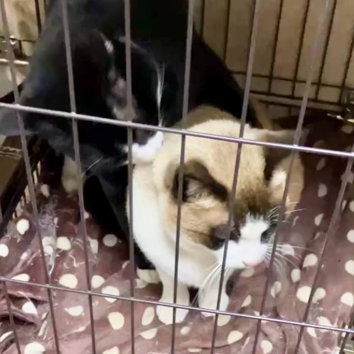 A1348704 6e27 4697 8411 9e51fc64b5bf 1743335605061