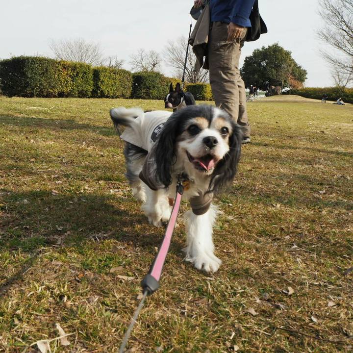 A134a379 8253 4a42 babe 138c7abb79c2 1520088135943