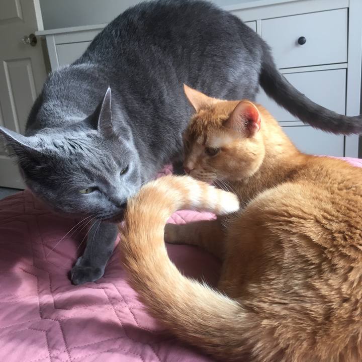 A134a486 36e4 4317 a566 95f2dfdfb51f 1647959950208