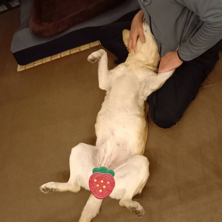 A134bd62 4b91 45df 87a8 9404ceef3050 1647350539383