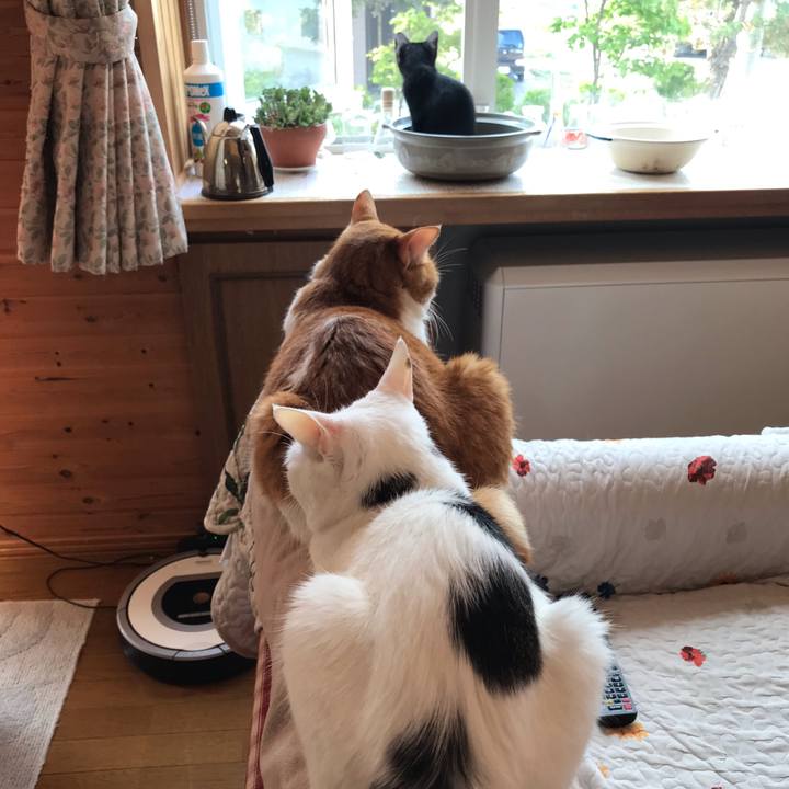 A134f66b 267f 4940 a986 3f29cac01100 1564841587900