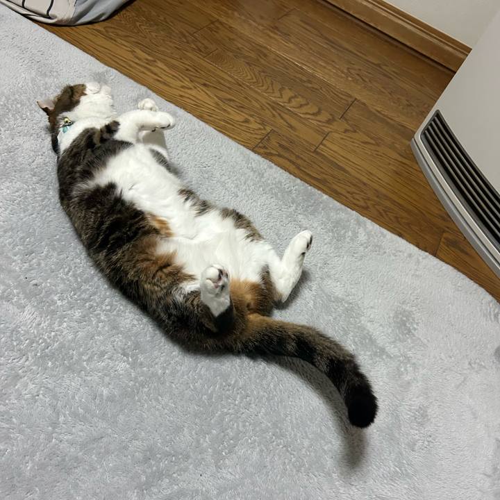 A134fda6 40fe 40ae b405 a41418e951aa 1765664936122