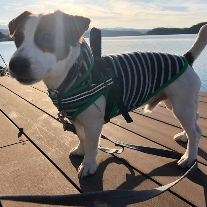 A13514c1 abdd 4f69 8667 17385717b1bb 1548059436505