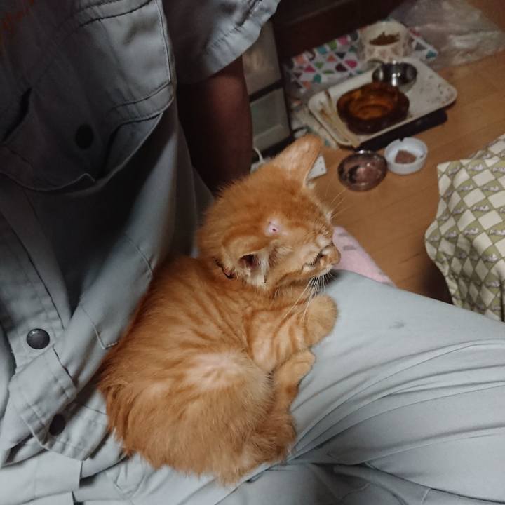 A1354ede 2168 41e8 a67a 4383b58f7027 1628769129991