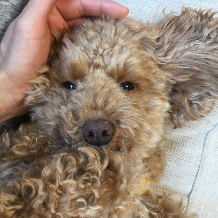 A135552c 01fe 43e6 9943 92bdfc5c12b1 1519126599644