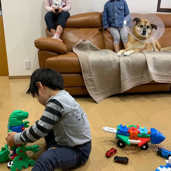 A13590dd b404 4e5d bf64 4fe101c00579 1556519279830