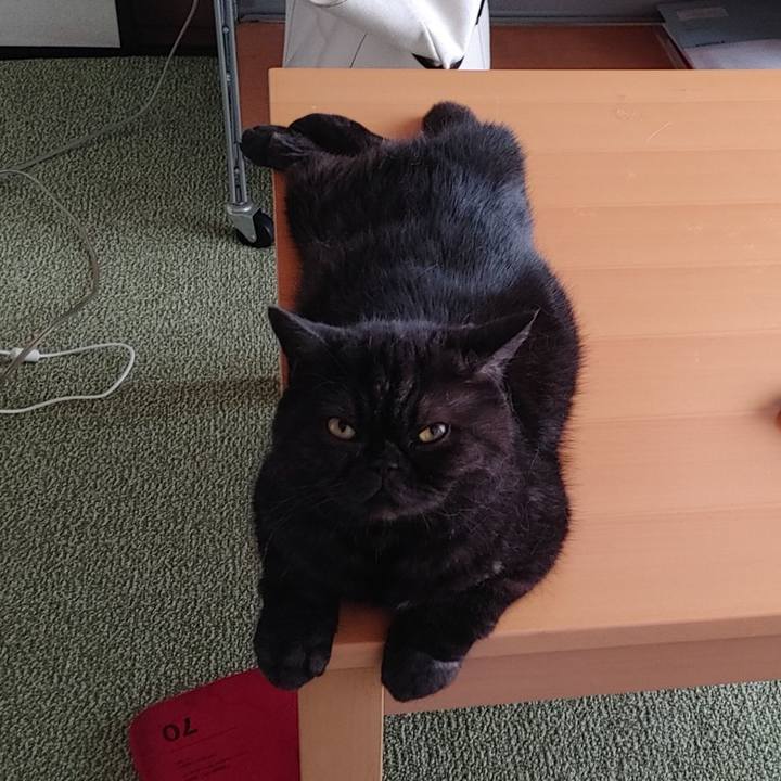 A135f4e5 fc1e 4cc3 9543 583db0f8c3da 1724505003739