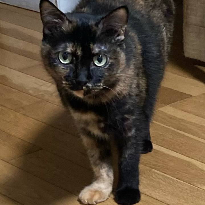 A13673cd 0b64 4e3b 9db7 87144dc76759 1667561471900