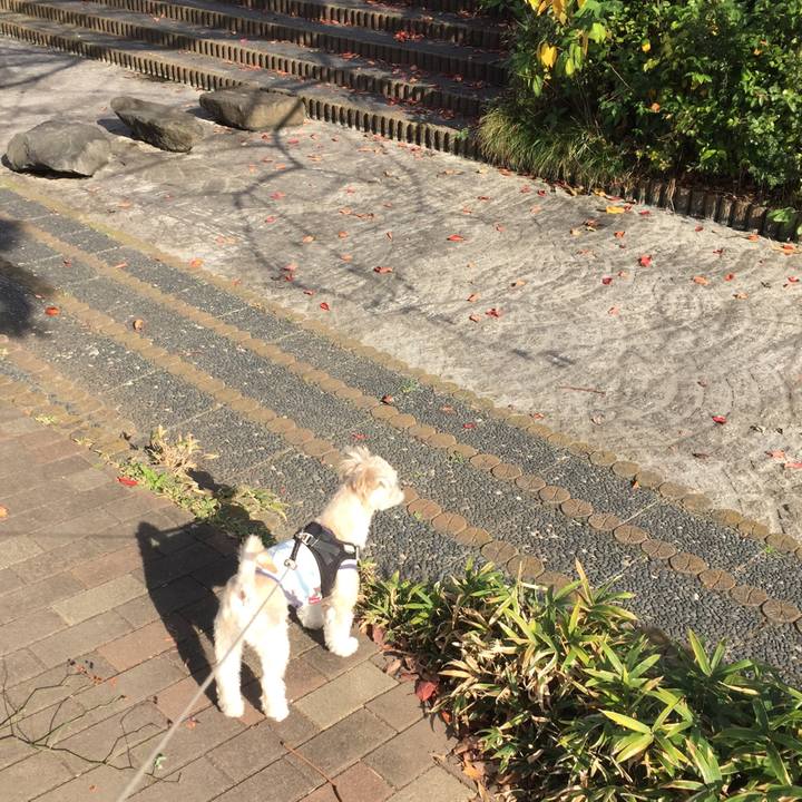 A1368090 8b23 4457 bd46 91f63d81fb00 1542350957303