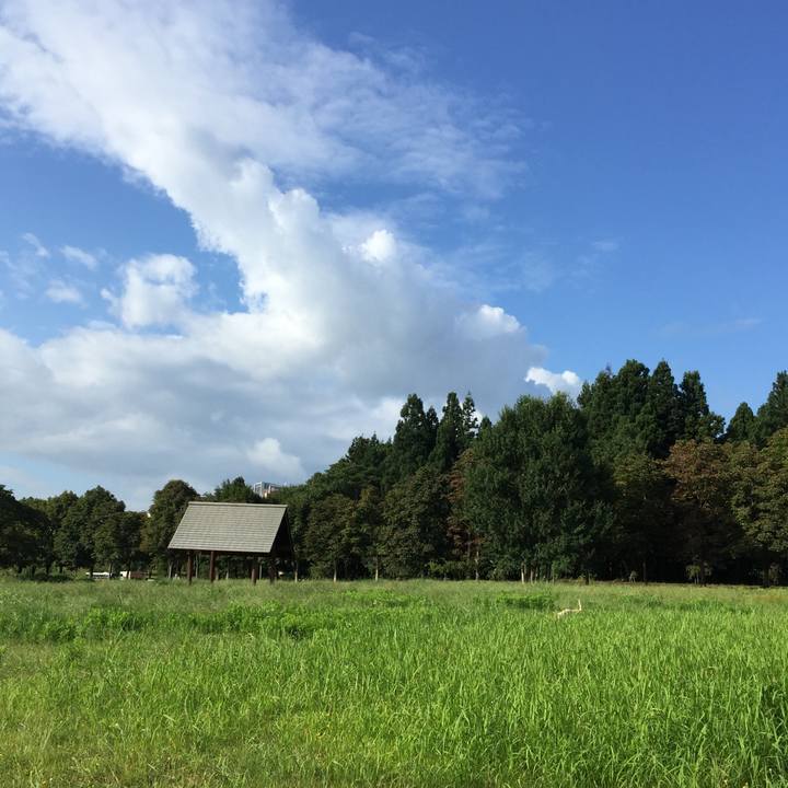 A136851e 70a1 4bca b0fc f43e50c8635c 1555848609526