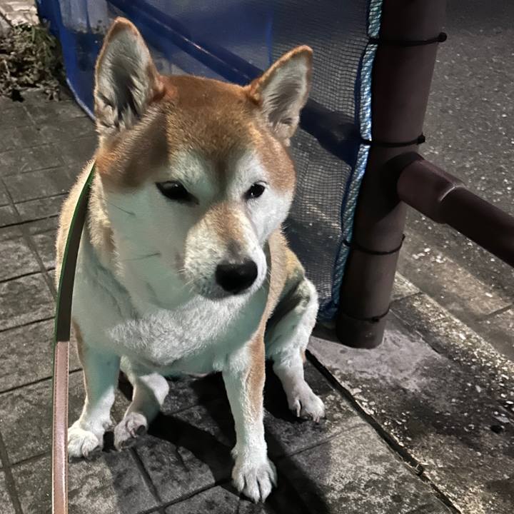 A136d8a1 3d33 4432 b4c8 ce47be2b1565 1727604382727