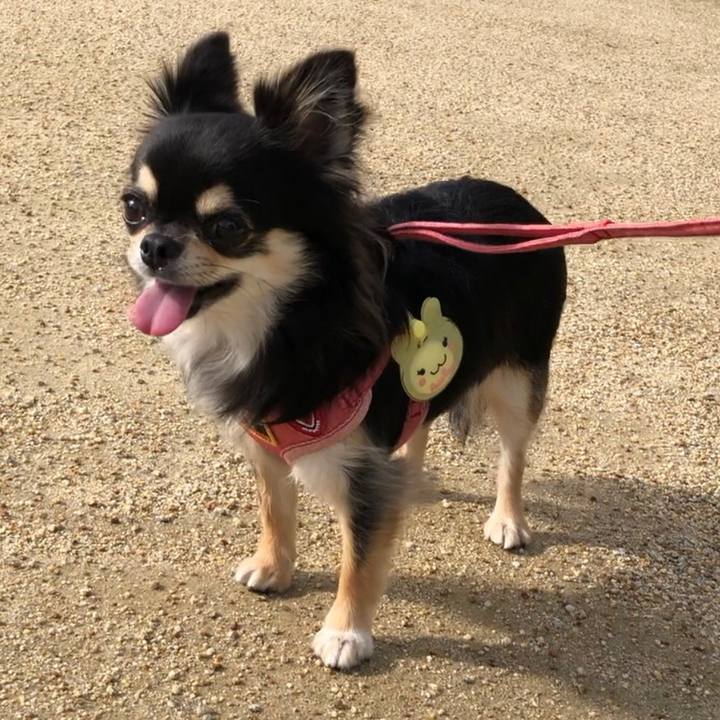 A136df98 493d 43f7 87d2 4ecfc84803fc 1599783295042