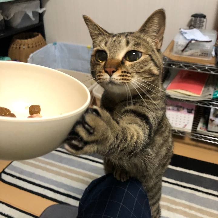 A136e994 4a28 48af b6a3 533fa52de747 1590638953767