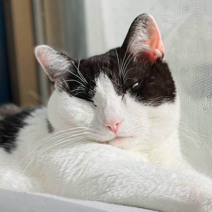 A136f913 2e1b 4f9c a9f1 724521e2a768 1648522165814