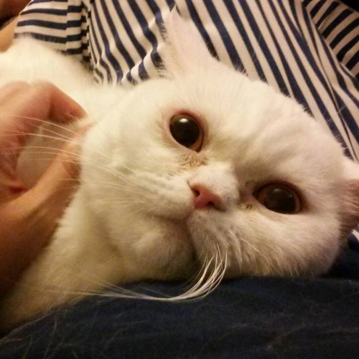 A1371d23 1c91 46e3 bf51 8a97973a9f44 1524565845606