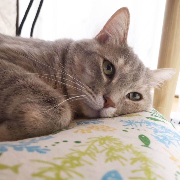 A1372397 4ebd 4995 a4a8 1266f5ec262e 1591278522622