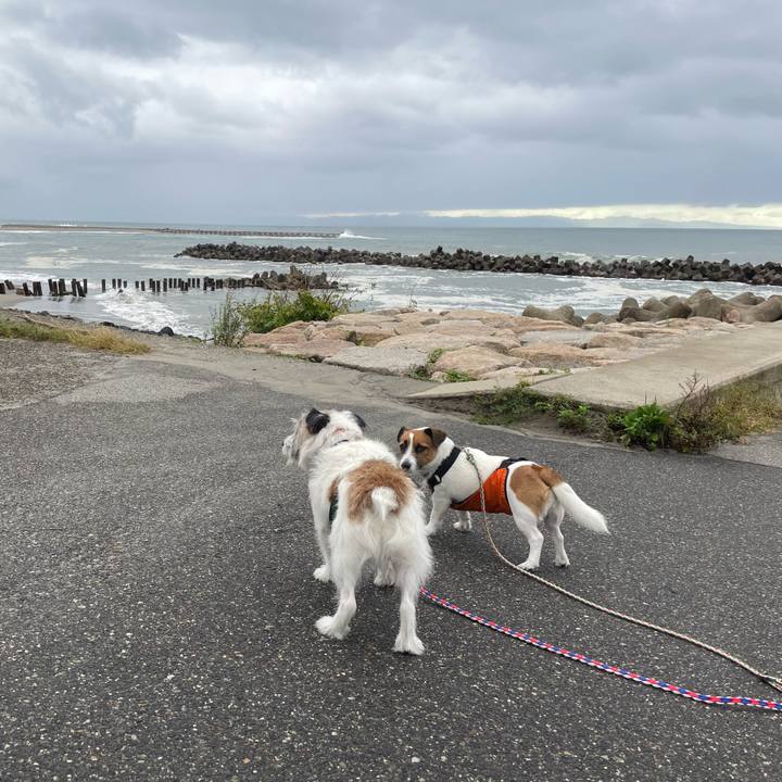 A13734a6 e12d 4d08 8f81 5a1754ed0ef1 1728083207319