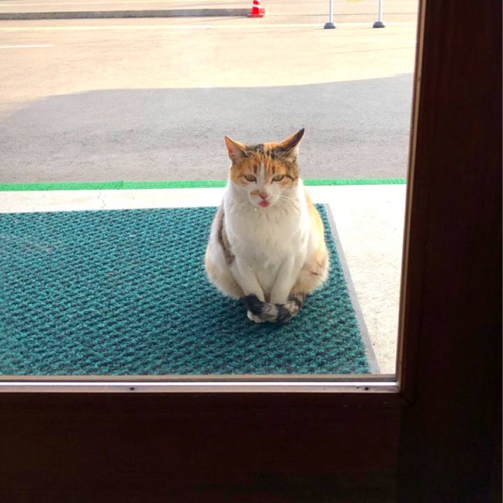 A137671a 3680 41fe 8eb4 c6f766047b12 1520665881631