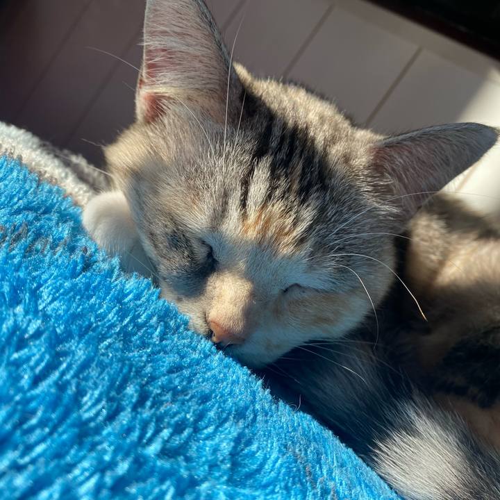 A1377f8c da1c 4463 849c 4c0e391c9f9b 1637798853051