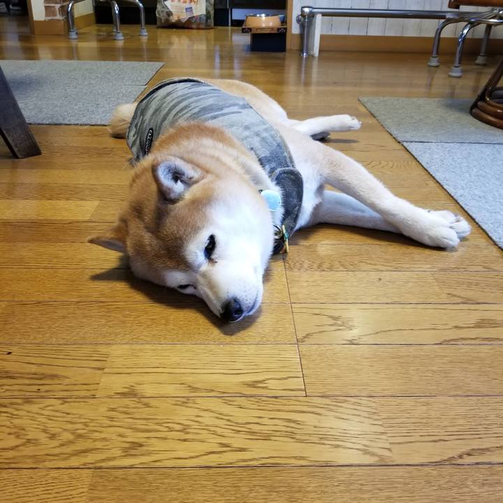 A1378bce 1879 4232 9ee2 c65bedca447b 1645052826223