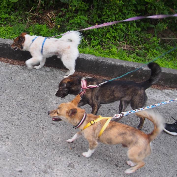 A137a4d9 ae55 46e8 95f2 979fa3d69c98 1555219760034