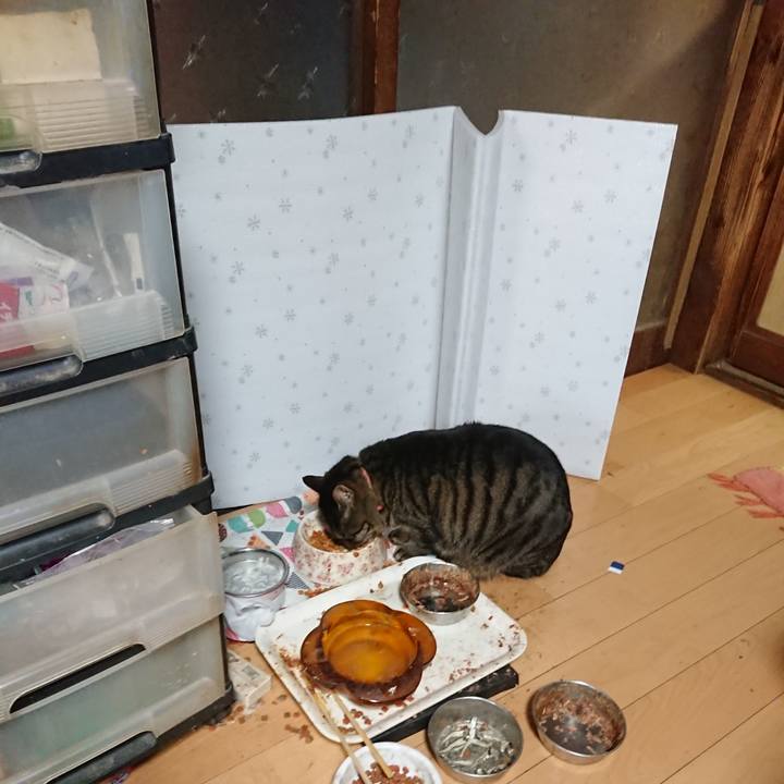 A137afda 189b 42d3 aefd 5d666d4b0ce5 1644366812109