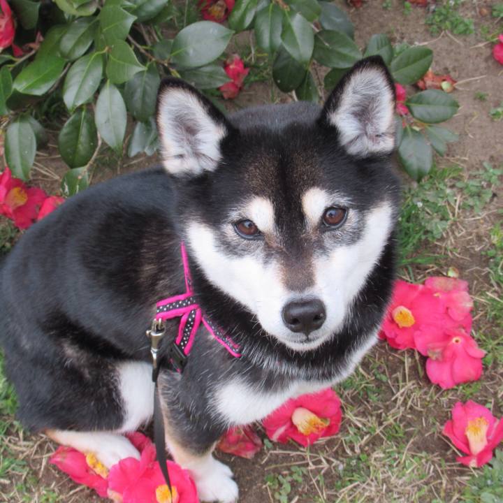 A137b504 1421 4664 917c 20526d3799d9 1553901365979