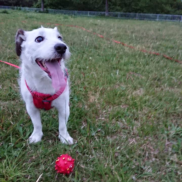 A137d580 12e3 4497 9f21 93a729623a7a 1524611572653