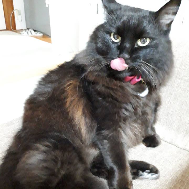 A137ec21 cdff 41de 9388 82746ad05d5c 1517169021125