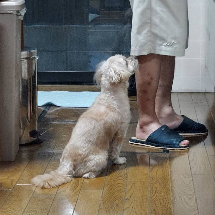 A1383e30 2e86 4db2 9bb4 802c98cc7be2 1692696599281