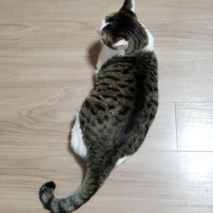 A13846a3 3538 4707 91eb 525f839cf614 1551820762935