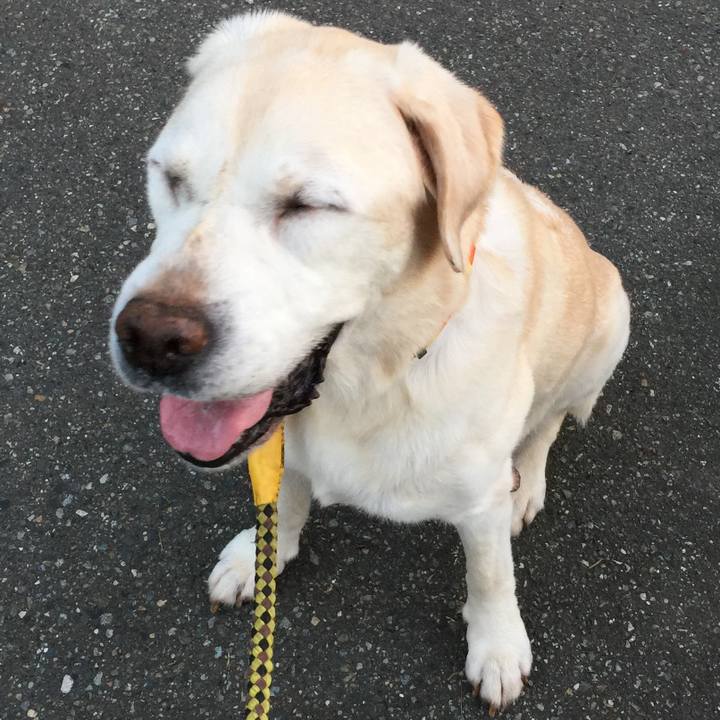 A1385b85 6aed 49b7 bb14 3de81d927ce2 1533245424824