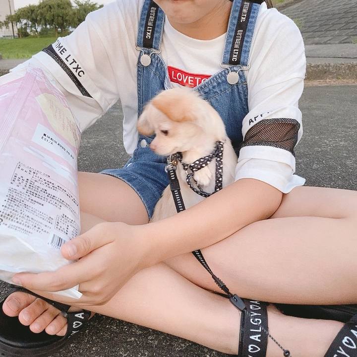 A1386976 d4a7 4ad5 a502 14b18df8cbc2 1595199095791