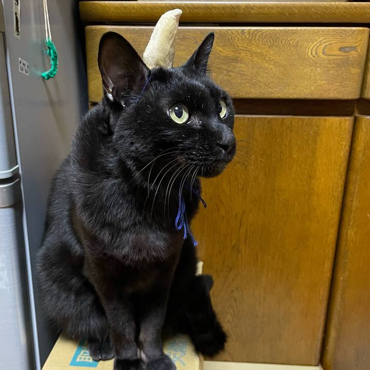 A1388a11 3f13 4982 887c 2ca125c1a12d 1770071201183