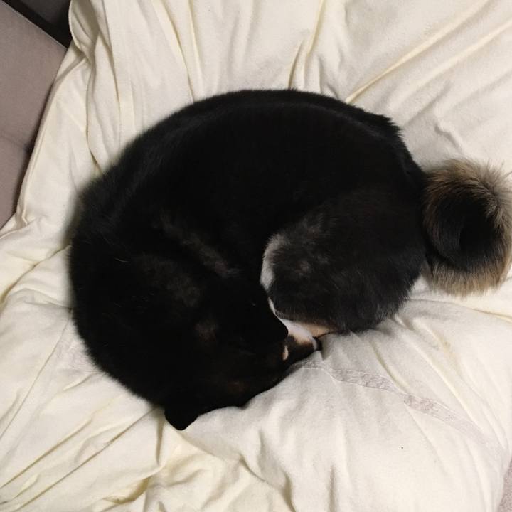 A139050b f12f 4e12 9a25 ec8c7572b35f 1517820211094