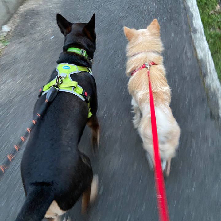 A1390794 9010 4935 a76f f42a438b2a2a 1647045122294