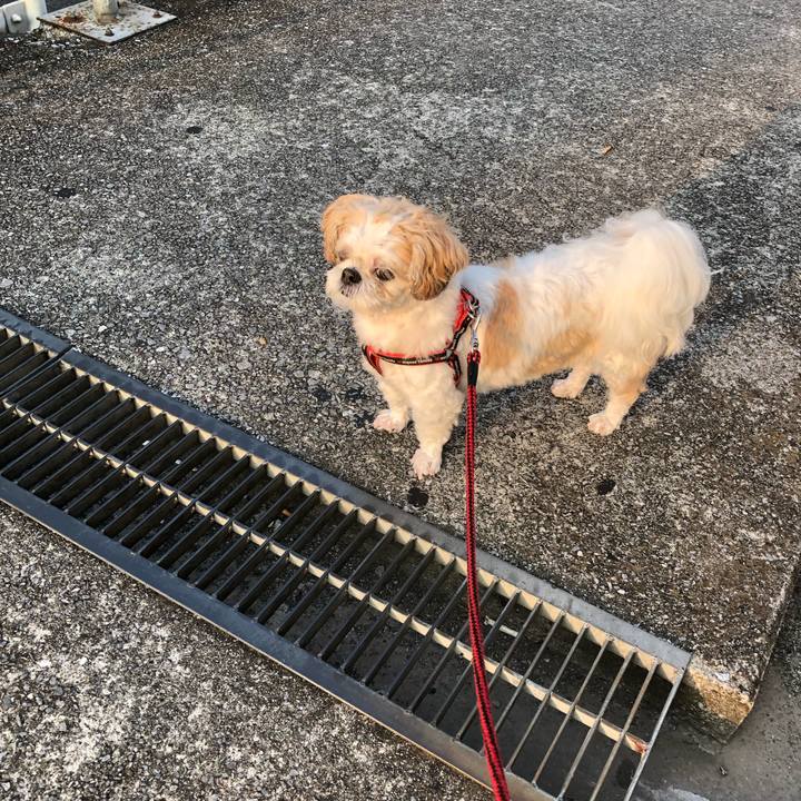 A1392414 9b7b 409c be9b 34027831223f 1566942388137