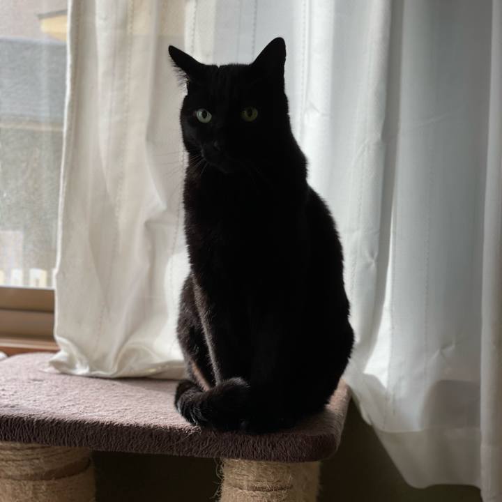 A1392d6b a220 4ed6 be5c 9604cf26fbb6 1648935420881