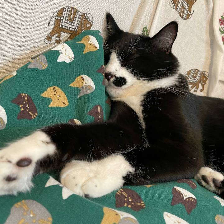 A13934fc 49b2 459e 82f3 77662e51d330 1661130996131